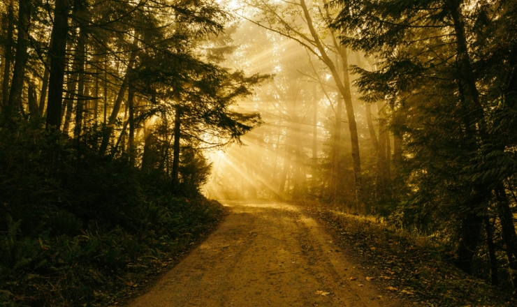 patrick-fore-74TufExdP3Y-unsplash