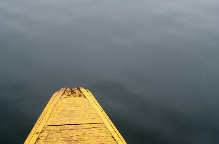 payas-1Tcu61Qz7c0-unsplash payas-1Tcu61Qz7c0-unsplash